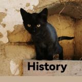 History