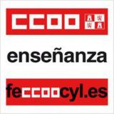 CCOO Enseñanza Castilla y León