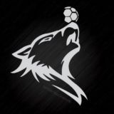 جام جهانی فوتبال Sport Bad News