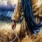 The Rising Harvest