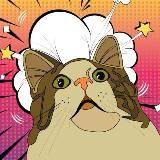 CAT’S STORY | Котики 🐈
