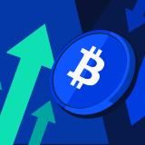 Crypto Team