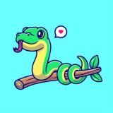 Питонизация. Python библиотеки