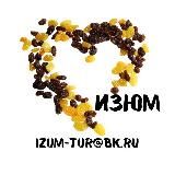 IZUMtravel
