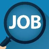 Daily Jobs IT KZ