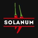 Solanum by Makarov