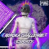 PUBG MOBILE & epicINOY
