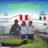 Hidronova grupo Gratis