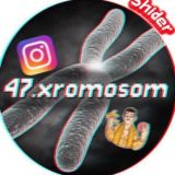 Лишняя Хромосома чат