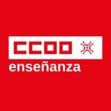 CCOO Enseñanza Cantabria
