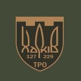 229 окремий батальйон 127 окремої бригади ТрО ЗСУ