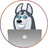 SW_Novosibirsk_LIVESTORE