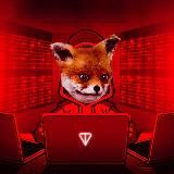 TON Future