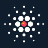 Cardano China Official🇨🇳