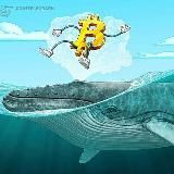 Crypto News