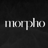 Morpho Jewel ⛰️