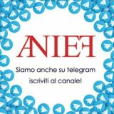 ANIEF - Associazione Professionale Sindacale