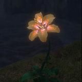 amor.animaa💤🇵🇸