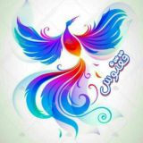 قـۘۘقـنـ℘ـوس ⃟🐦🔥༻