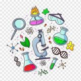 Biología y Química Para La Vida🔬