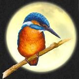 ALCEDO JEWELRY
