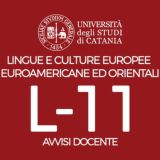 Avvisi docente L-11