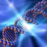genetics_4u 🧬 antiage, эпигенетика, женское здоровье