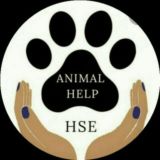 🐾ANIMAL HELP:-