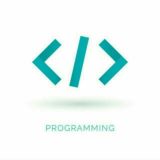 💻 programmer_best