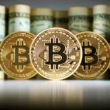 КриптоУниверситет