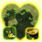 Wie die Natur heilen hilft