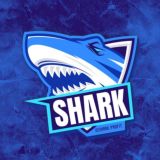 SHARK 🦈 PROFIT — AI ПРОГНОЗЫ НА DOTA 2 — ПРОМОКОД — ФРИБЕТ — BETBOOM — PARI — ZENIT — WINLINE — ИЮНЬ — 2025 — PASS — ЧИТ — КОД