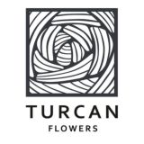 Buro Turcan | Цветочное бюро Туркан | Цветы СПб и МСК