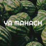 Махач Гаджиев