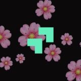 Русский язык ЕГЭ | insperia чат