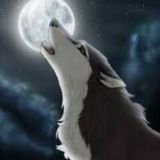 Greywolf KR
