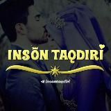 Insontaqdiri
