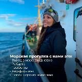 ArcticDiscovery
