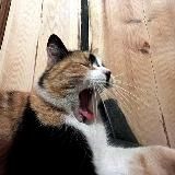 Post