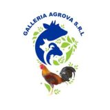 Galleria Agrova.SRL