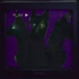 Dober_Show