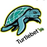 ТurtleBet 🐢