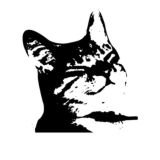 мемы про котов (по ржать)