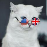 🐈🇺🇸 Kitty English 🐈⬛🇬🇧