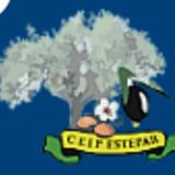 COLEGIO ESTEPAR