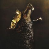 Lobos de Winterfell