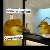 COMPLOTTISTI MERDA ( Quartier generale di ioaproilculo)