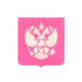 Депутат Госдумы Ф.С. Тумусов (Дальний Восток) "Справедливая Россия"