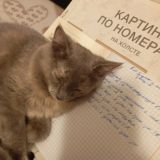 Блог недоработяги