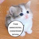 Новостной портал «рыгота1»